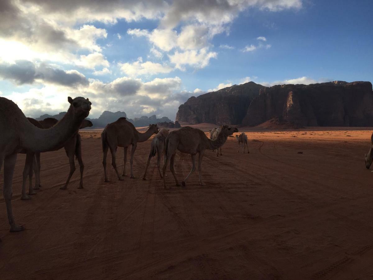 Desert Guide Camp Wadi Rum Exterior photo